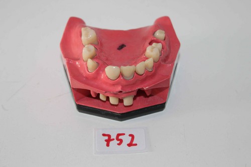 Dent schaumodell 5 - dent,