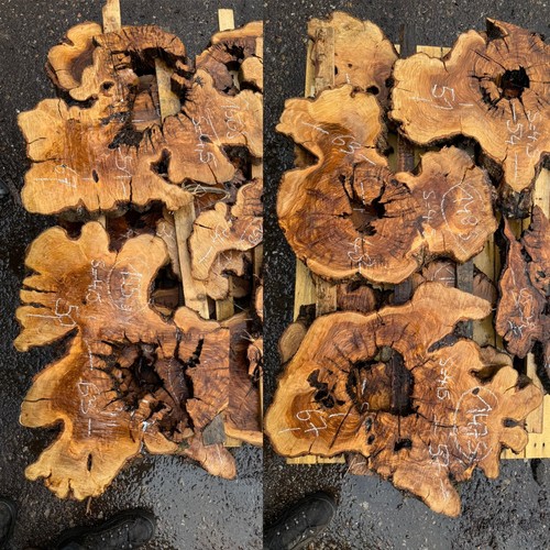 Olivenholz baumscheibe holz - baumscheibe,