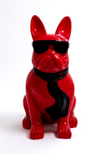 Französische bulldogge mit