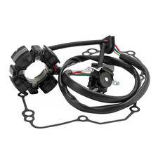 Lichtmaschine Stator