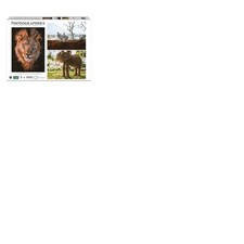 Puzzle AMBASSADOR - Wildtiere