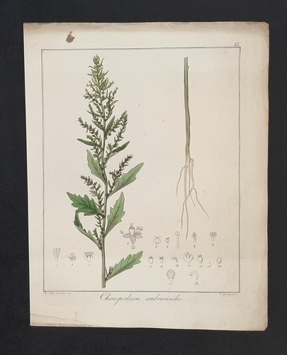 Kupferstich 1835 text - kupferstich, 1835+text