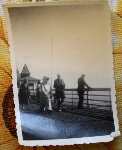 Foto ostsee eisbär kostüm - ostsee,