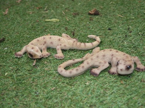 Geckos deko figur reptilien - deko,