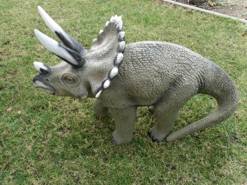 Dinosaurier triceratops - dinosaurier,