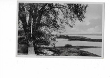 S567 AK Sophienthal Oderbruch Partie an der Oder beschrieben ca. 1930