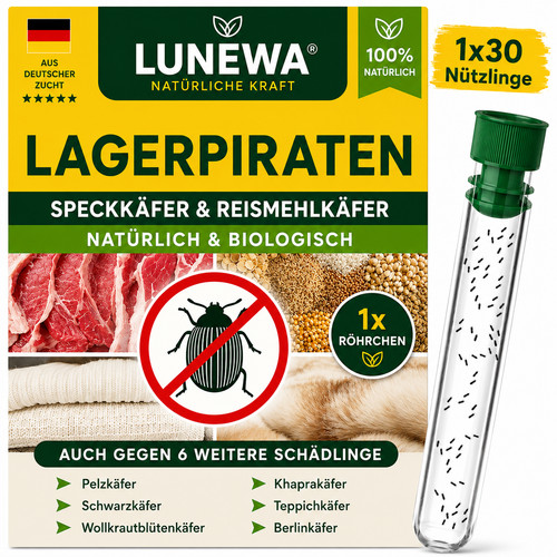 Lagerpiraten speckkäfer - lagerpiraten, gg.
