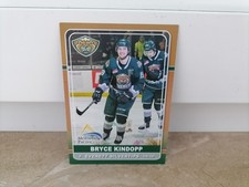 Bryce Kindopp (Eisbären Regensburg) 2019/2020