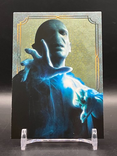 Harry potter evolution lord - harry,