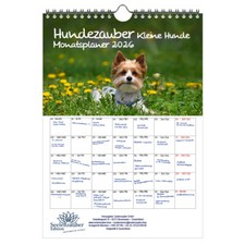 Hundezauber Kleine Hunde