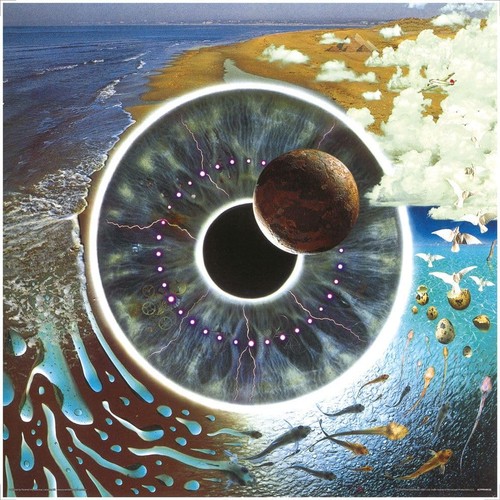 Pink floyd 5 cm - floyd,