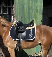 Equiline VS Schabracke