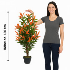 Künstliche photinia - künstliche,