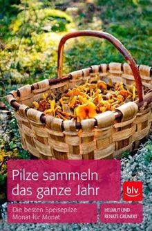 Pilze sammeln das ganze - , jahr