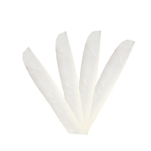 50pcs bogenschießen - 50pcs,