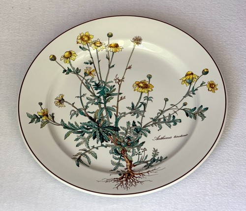 Villeroy boch botanica - &,