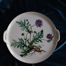 Villeroy & Boch 🌿 Botanica