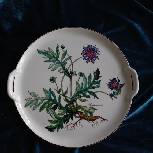 Villeroy boch botanica - villeroy, 🌿