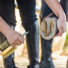 Pferdepflegeset Hufpflücker