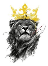 Color Bügeltransfer