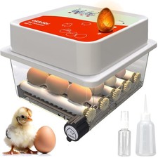 Eierbrutkasten Brutautomat 12 Eier elektronisch Temperatur Feuchtigkeitsregelung