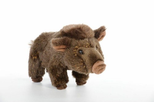 Wildschwein kuscheltier - wildschwein,