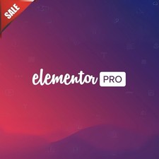 Elementor PRO - Der ultimative