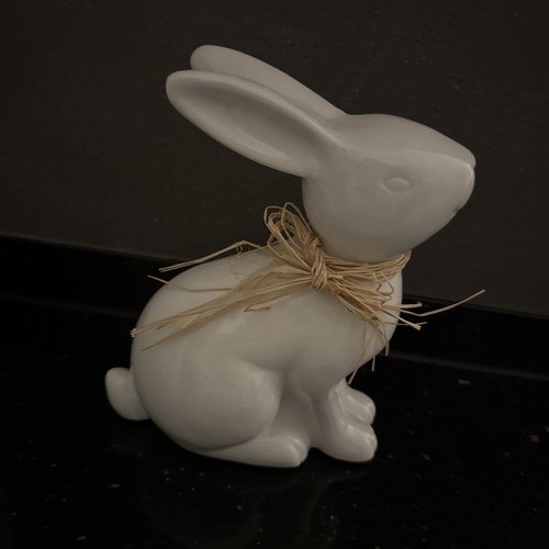 Osterhase - , 🐰