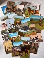 Konvolut / Lot - Pferde