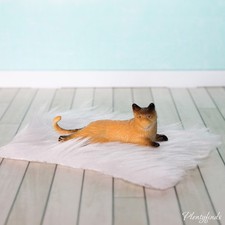 Katze Schaffell Miniatur Tier