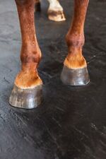 Stallmatten Puzzlematten Vollgummimatten Box "Andrea Puzzlematte" 10 stück