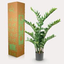 Kunstpflanze Zamioculcas Zimmerpalme 110 cm - Pflegeleicht und immergrün für Ihr