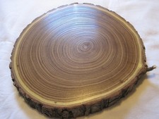 Holzscheibe schnurbaum 20 - x,