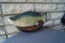Sehr gepflegter Big Mouth