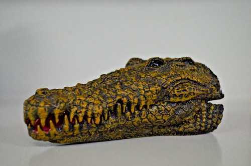 Aquarium deko krokodil - aquarium, !!