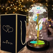 Konservierte Rose Glas Kuppel