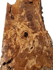 Oliven wurzelholz holz - oliven,