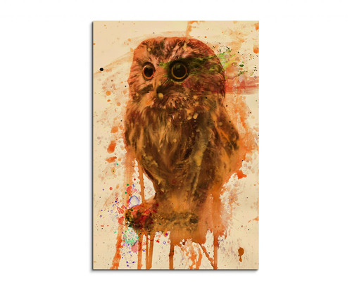 60x90cm kleine eule - eule, sa