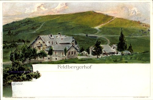 Künstler litho biese c - künstler,