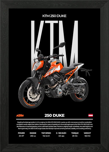 Ktm 250 duke motorrad - ktm,