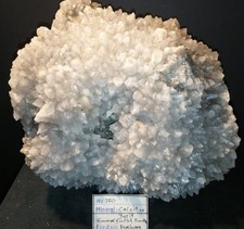 (25% Rabatt) Museumsstufe: Calcit xx, Pyrit xx/ Himmelfürst, Freiberg, Sachsen