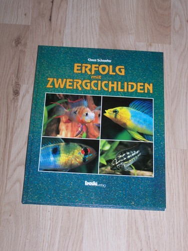 Erfolg mit zwergcichliden - mit,