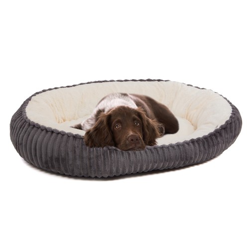 Hundebett kleine mittelgroße - hundebett, kleine,