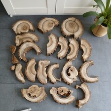 Hohle Nussbaum Baumscheibe Tunnel ca 25x4cm u10 kg Holzscheiben Loch Basteln DIY