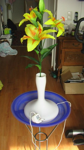 Lampe mit wechsel licht - mit,