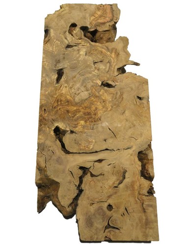 Oliven wurzelholz holz für - 1x,