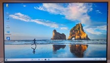 AU Optronics  FHD  Display