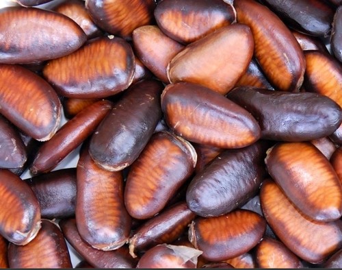 Indianerbanane paw - indianerbanane/, 10