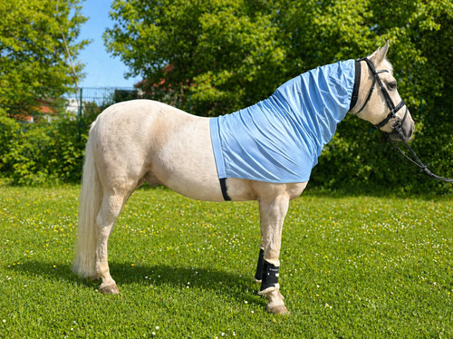 Hafer24 ekzemerdecken - -,