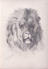Löwe lion Kuntzelmann